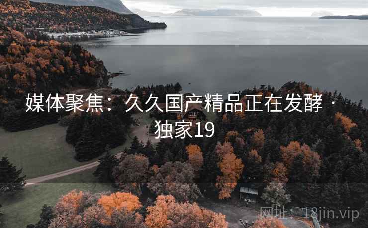 媒体聚焦:久久国产精品正在发酵 · 独家19
